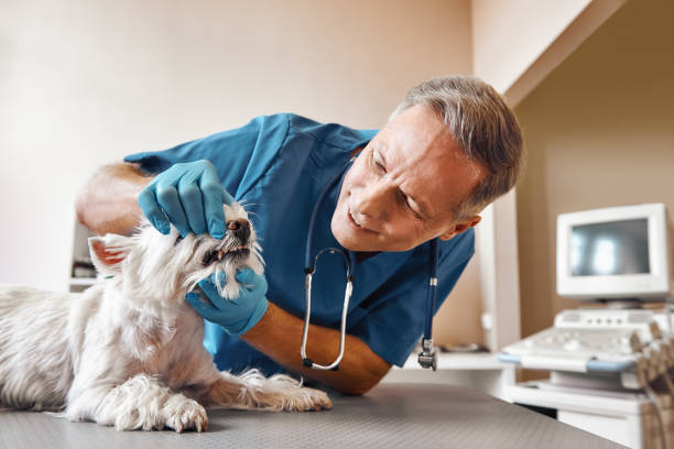 Best Emergency Dental Care for Trauma or Injury in Irvington, KY